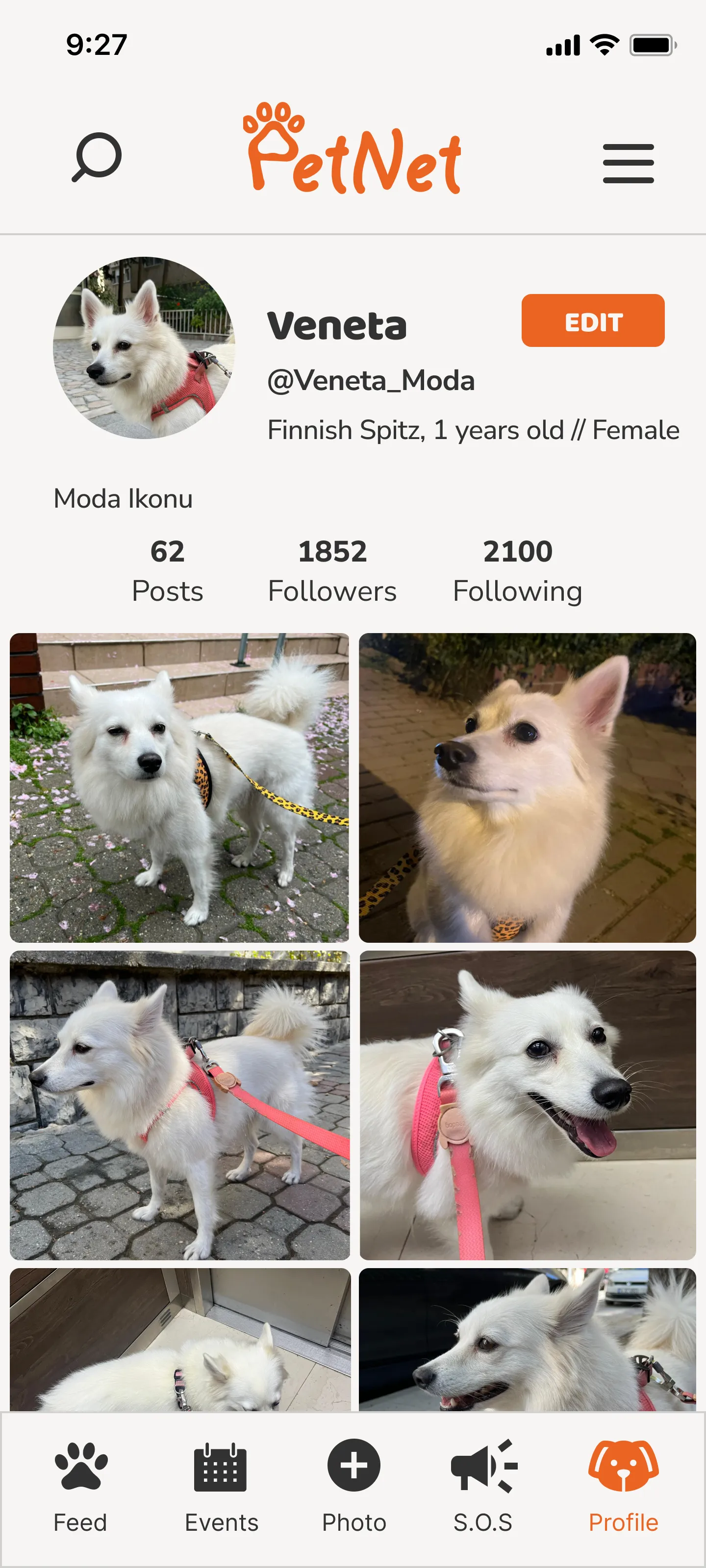 PetNet Screenshot 4